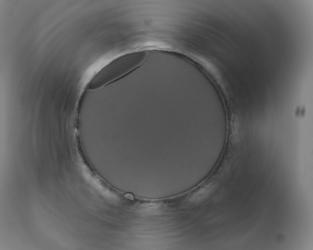 X0000110701373200907101211