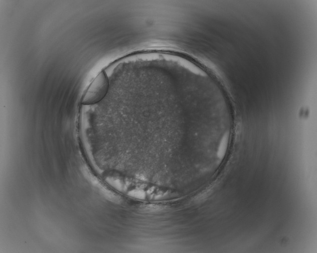 X0000110701374200907101211
