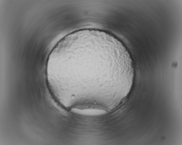 X0000110701375200907101211