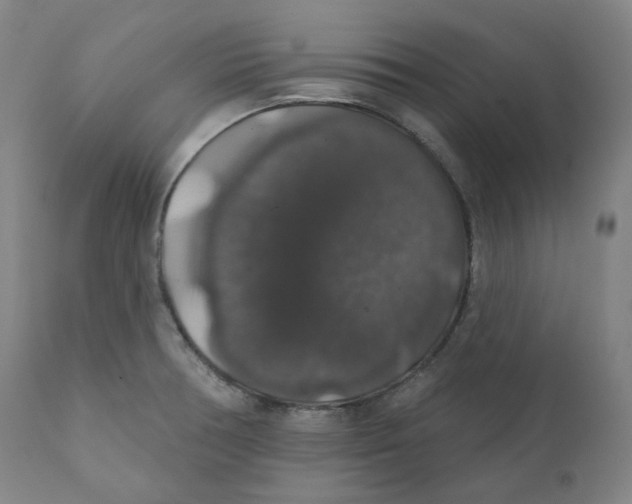 X0000110701378200907101210