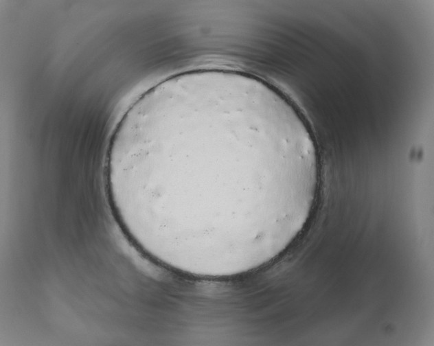 X0000110701379200907101210