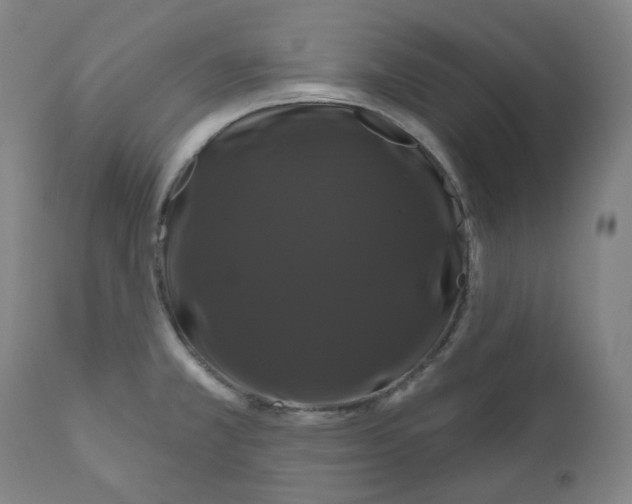 X0000110701381200907101210