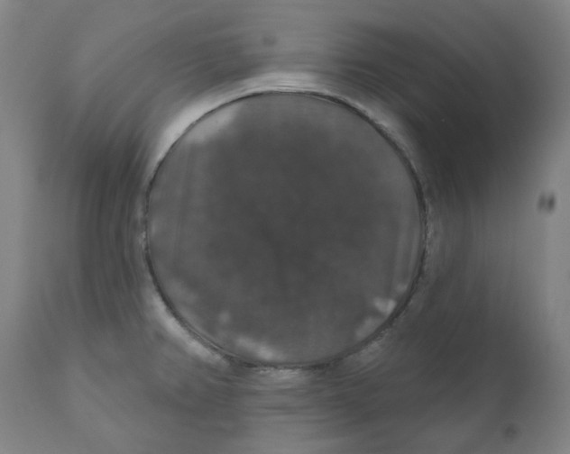 X0000110701382200907101210