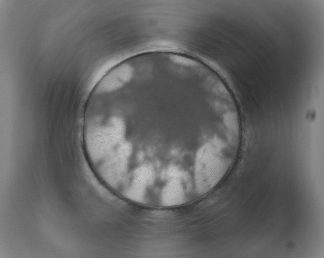 X0000110701383200907101210