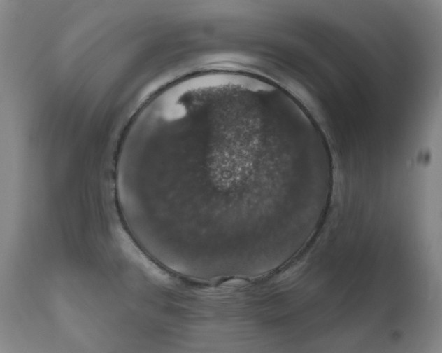 X0000110701384200907101210