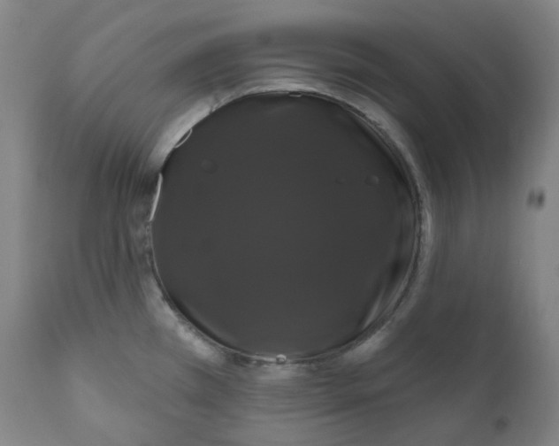 X0000110701385200907101210