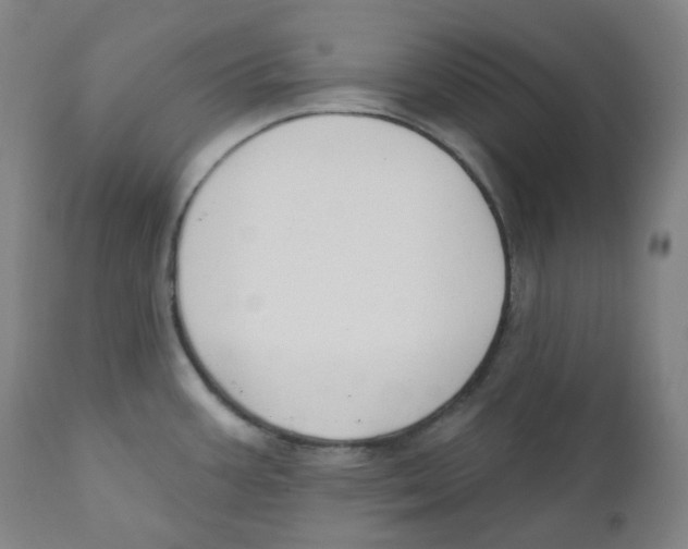 X0000110701387200907101210