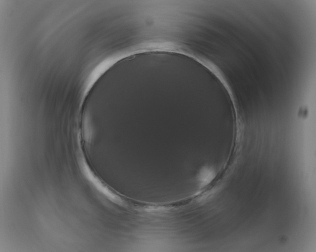 X0000110701389200907101210