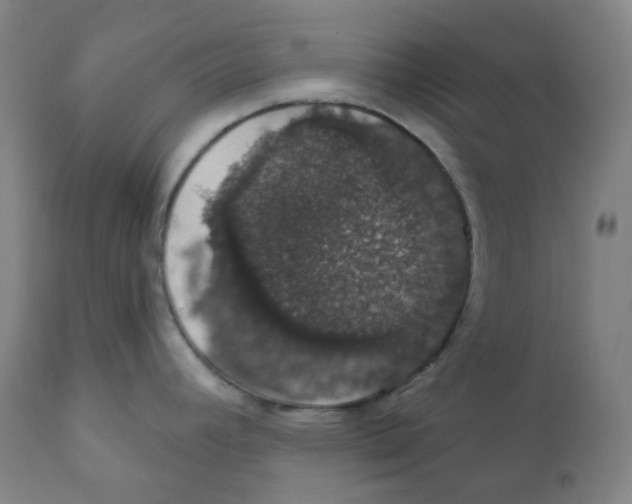 X0000110701392200907101210