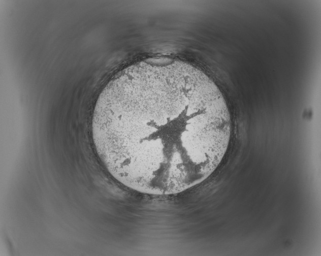 X0000110701393200907101209