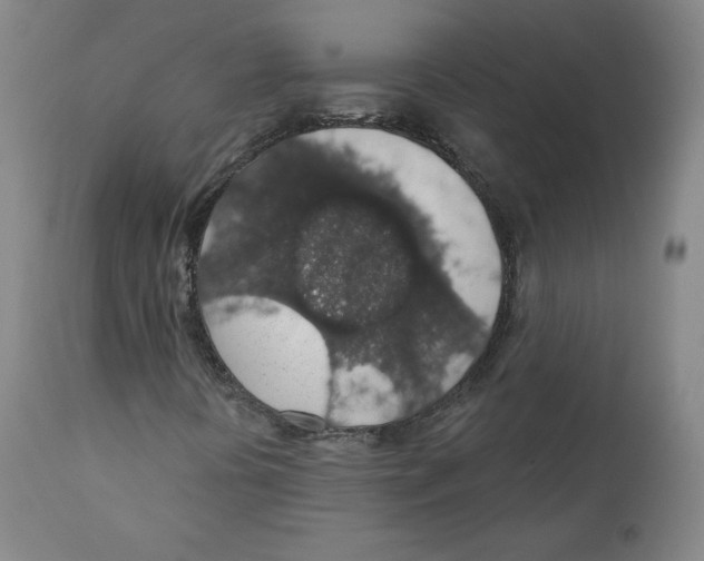X0000110701394200907101209