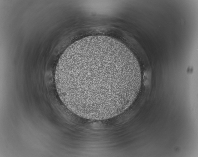X0000110701395200907101209