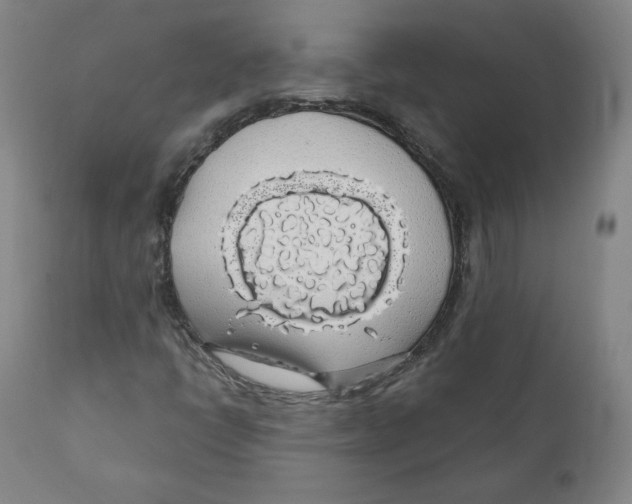 X0000110701398200907101209
