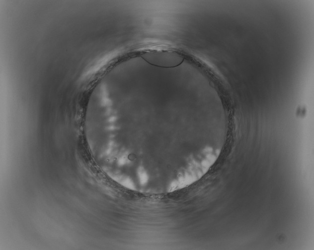 X0000110701399200907101209