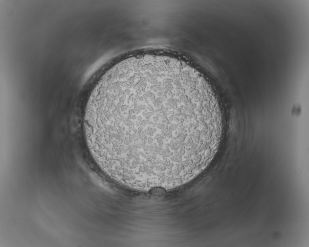 X0000110701400200907101209