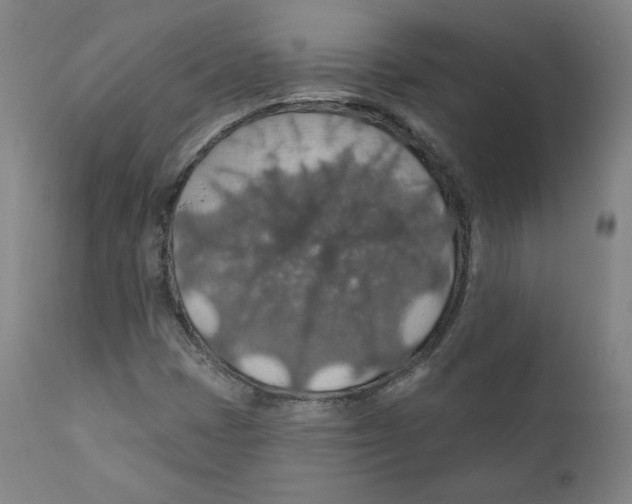 X0000110701401200907101209