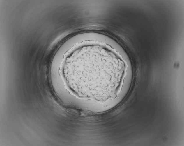 X0000110701402200907101209