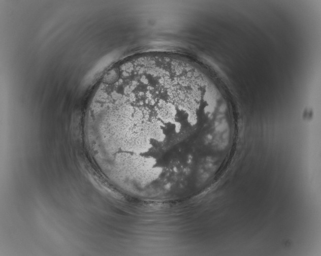 X0000110701403200907101210