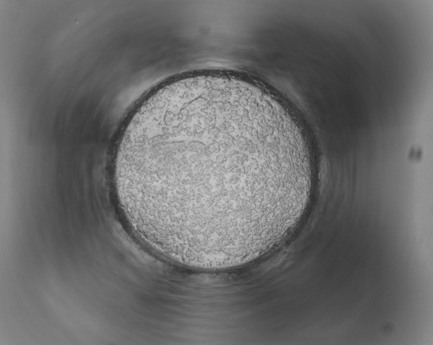 X0000110701404200907101210