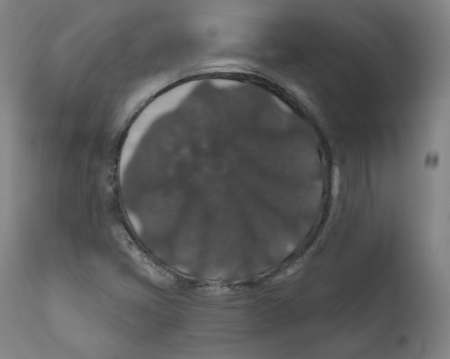 X0000110701405200907101210