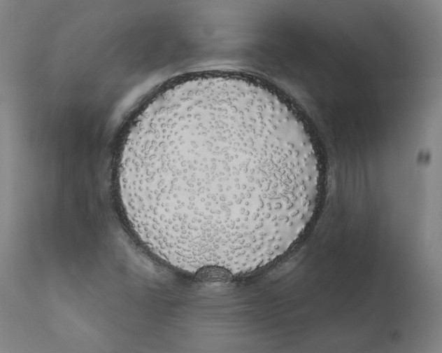 X0000110701406200907101210