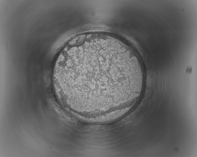 X0000110701407200907101210