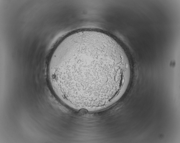 X0000110701408200907101210