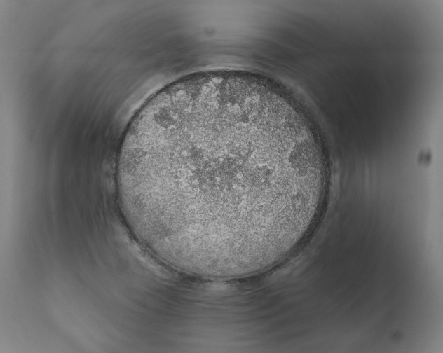 X0000110701409200907101210