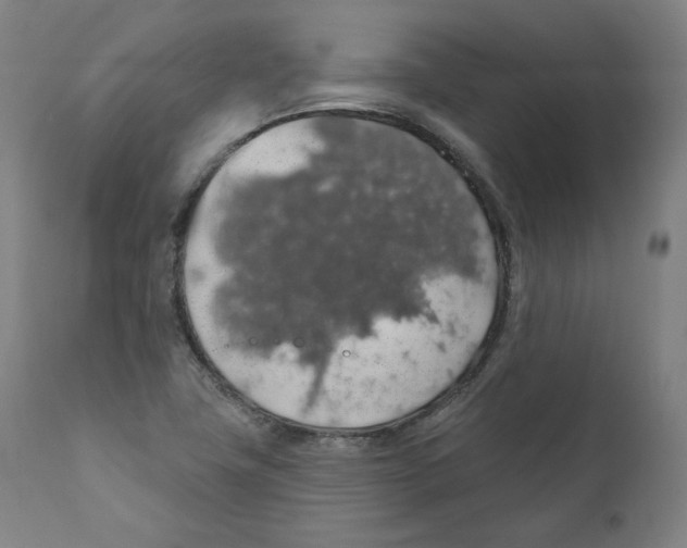 X0000110701411200907101210