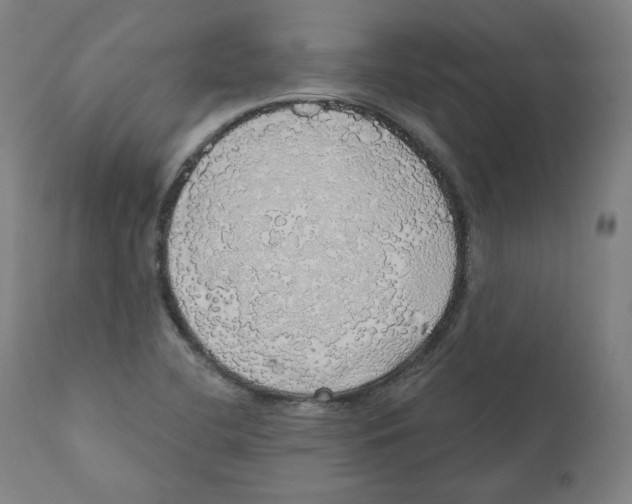 X0000110701412200907101210