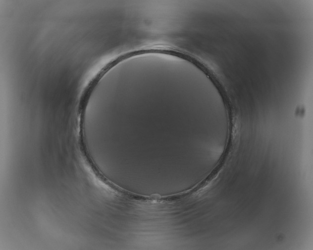 X0000110701414200907101210