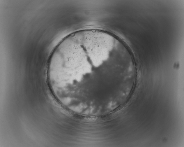 X0000110701415200907101210