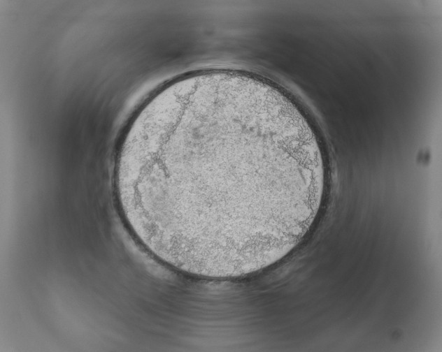 X0000110701416200907101210