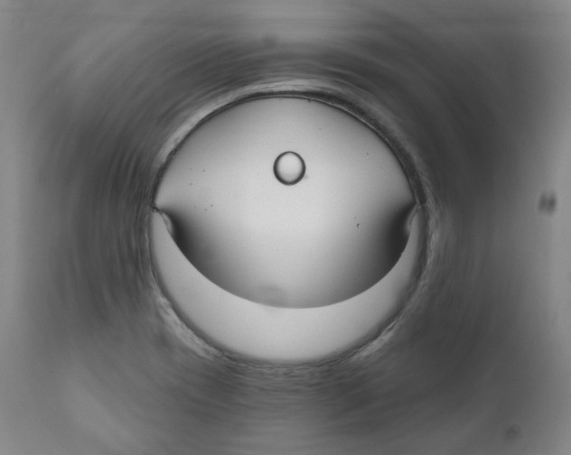X0000110701417200907101210