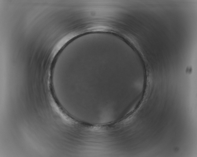 X0000110701418200907101210