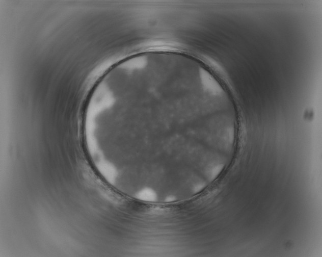 X0000110701419200907101210