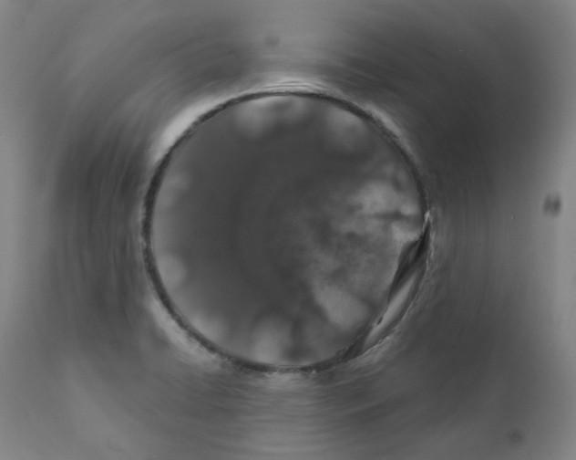 X0000110701422200907101210