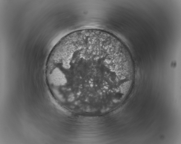 X0000110701423200907101210