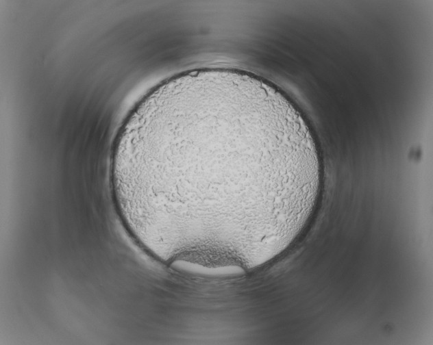 X0000110701424200907101210