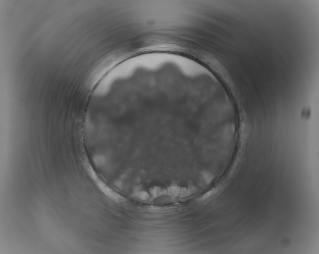 X0000110701425200907101210