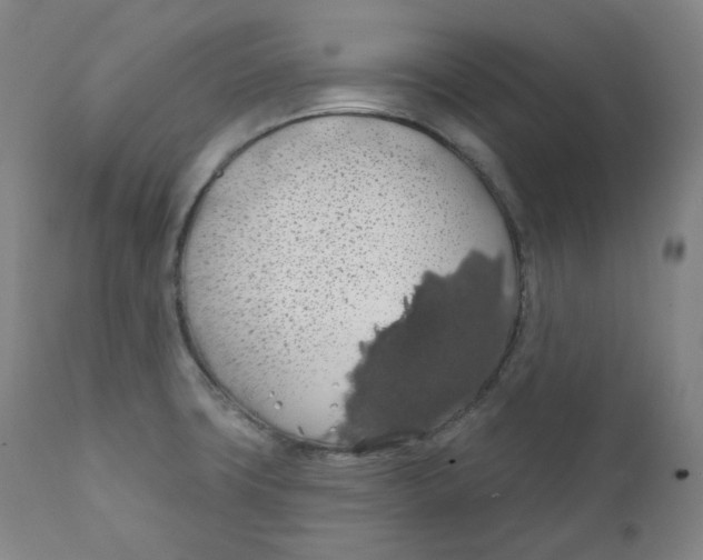 X0000110701427200907101210