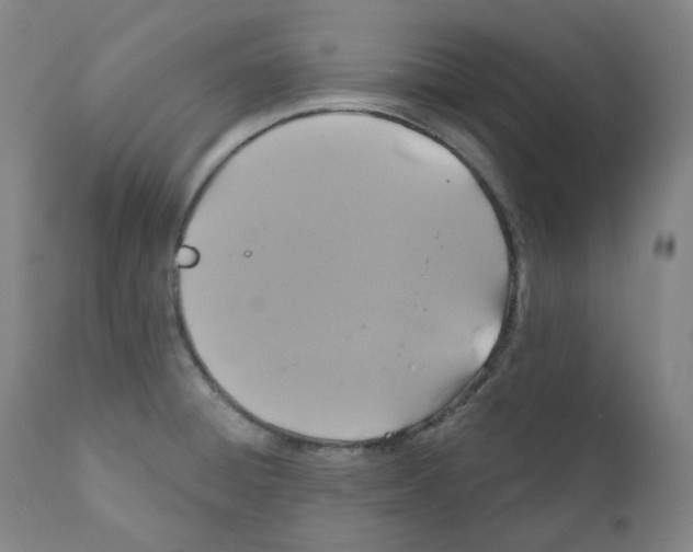 X0000110701428200907101210