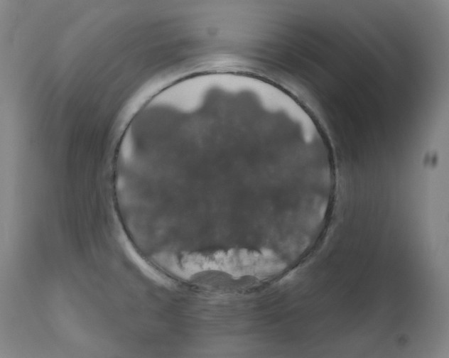 X0000110701429200907101210