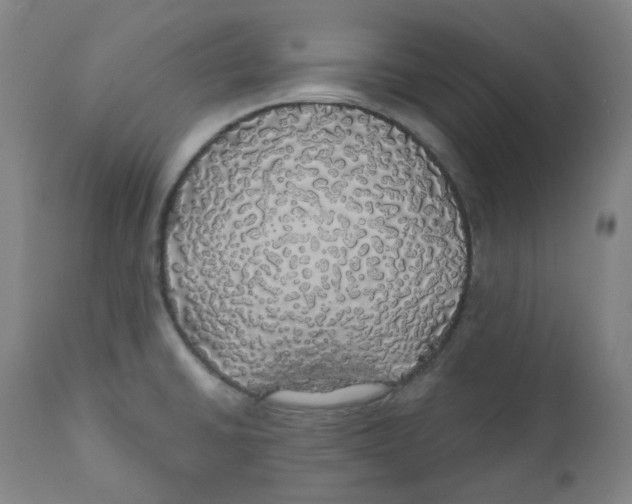 X0000110701430200907101210