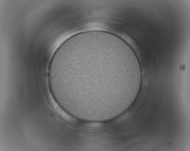 X0000110701431200907101210