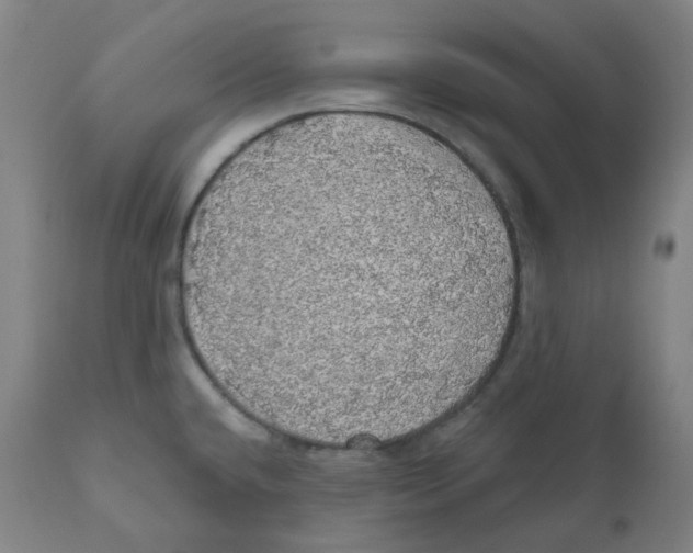 X0000110701432200907101210