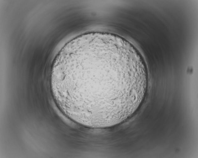 X0000110701437200907101210