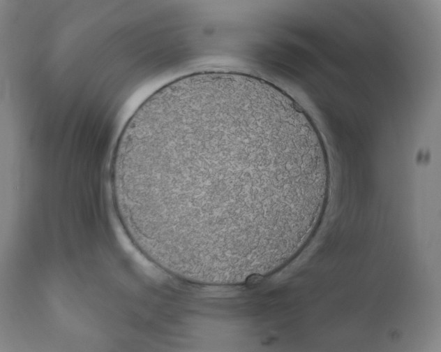 X0000110701440200907101210