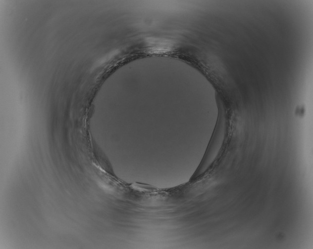 X0000110701441200907101209