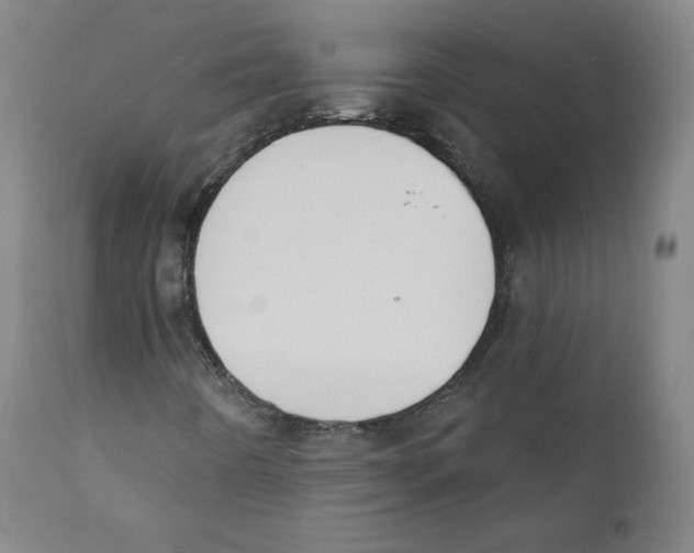 X0000110701442200907101209